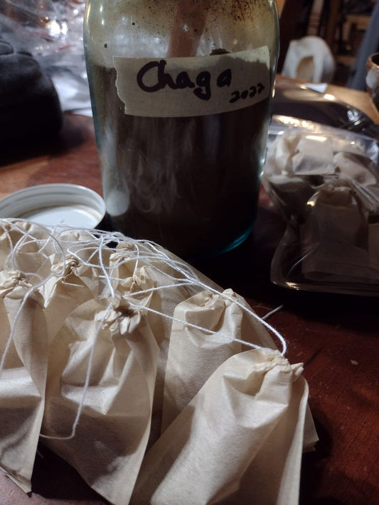 Chaga Tea Bags